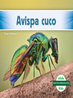 cover image of Avispa cuco (Cuckoo Wasp)